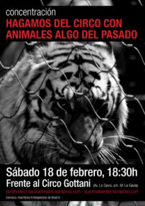 Concentración el 18 de febrero frente al Circo Gottani