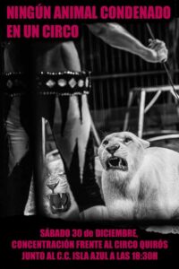 Ningún animal condenado en un circo. Concentración frente al Circo Quirós. Sábado 30 de diciembre, 18:30