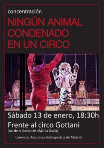 Ningún animal condenado en un circo. Concentración frente al circo Gottani. Sábado 13 de enero, 18:30h