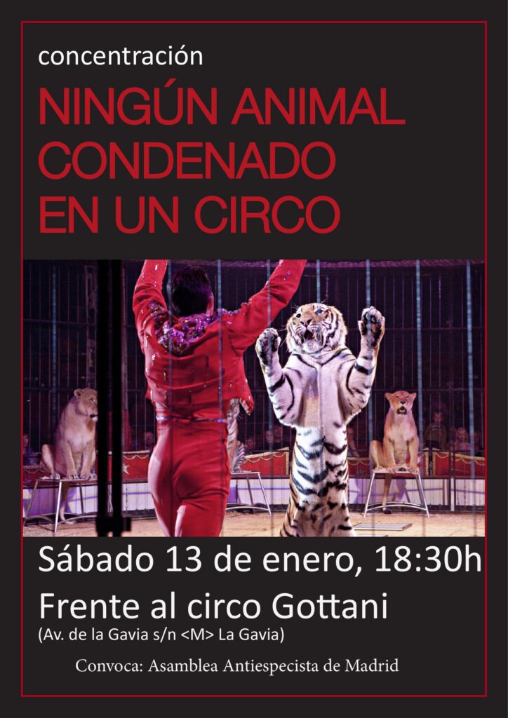 Ningún animal condenado en un circo. Concentración frente al circo Gottani. Sábado 13 de enero, 18:30h