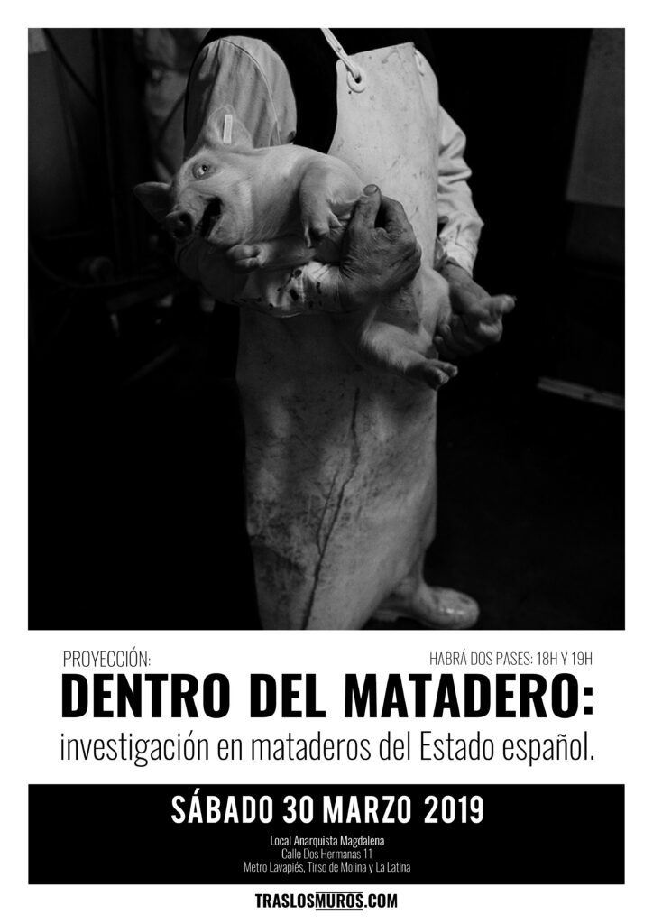 Proyección: Dentro del matadero: investigación en mataderos del Estado español.