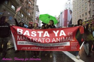 LLCT#30 Maltrato animal ¿al Código Penal?