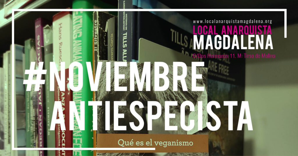 Recomendaciones de la sección de «Liberación Animal» en #NoviembreAntiespecista