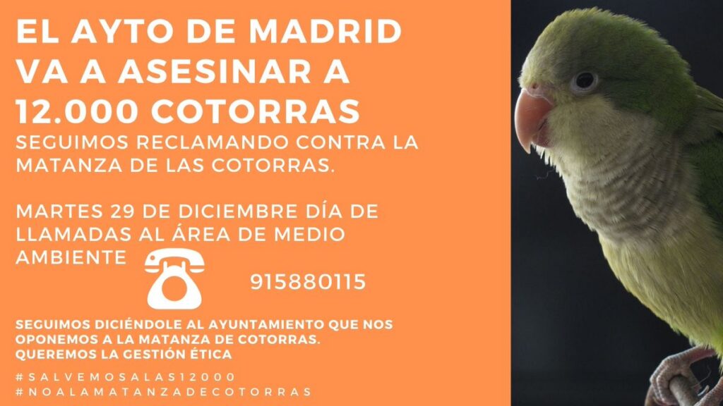 Por el fin de la matanza de cotorras