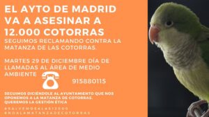 Por el fin de la matanza de cotorras