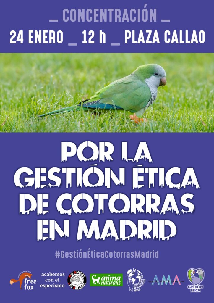 Concentración por la Gestión ética de las Cotorras. 24 ene, 12h