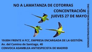 NO A LA MATANZA DE COTORRAS