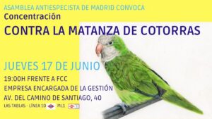 CONCENTRACIÓN CONTRA LA MATANZA DE COTORRAS