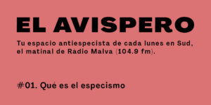 El Avispero