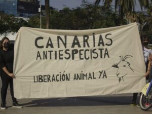 LLCT #48 Liberación Animal Gran Canaria