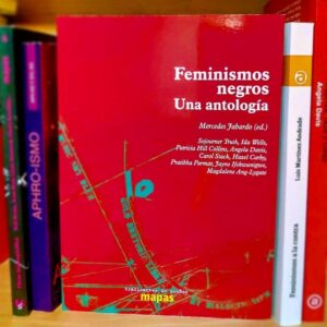 Hoy os recomendamos: Feminismos negros.