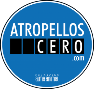LLCT #59 Atropellos cero