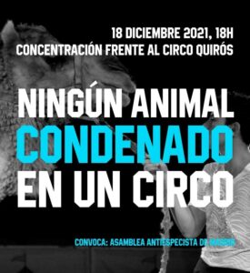 Concentración frente al Circo Quirós. 18 diciembre