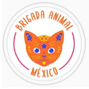 LLCT #72 Brigada Animal México
