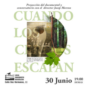 Cuando los cerdos escapan. Viernes 30 de junio.