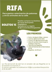 Rifa para gastos veterinarios de palomas y otros animales de la calle