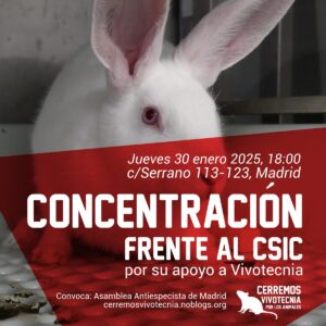 Concentración frente al CSIC por su apoyo a Vivotecnia